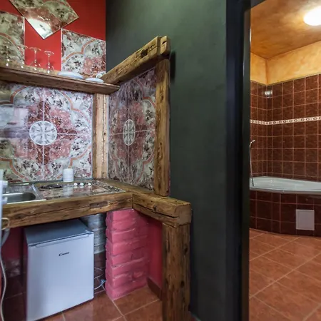 ホテル Hotelovy Dum Adina -