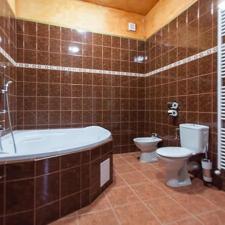 ホテル Hotelovy Dum Adina -